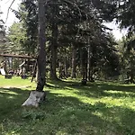 Hills & Borovets